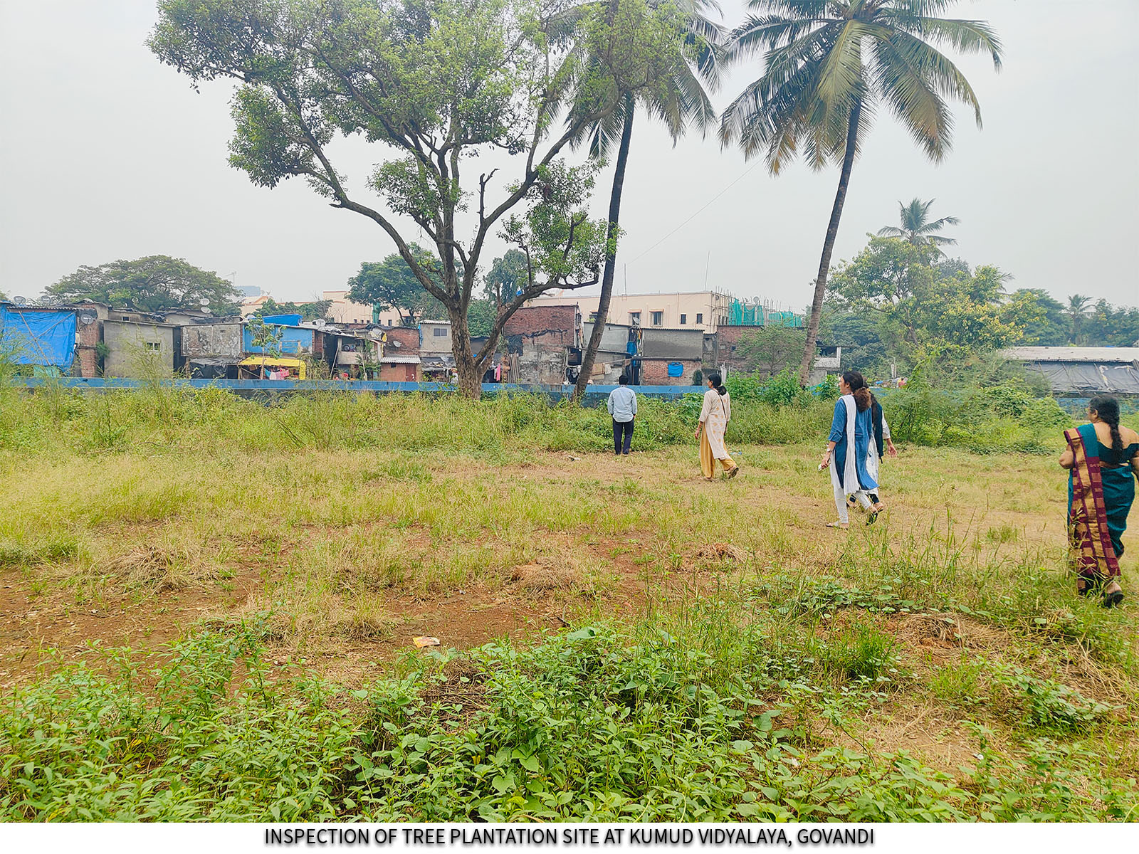 Swachhata Abhiyan and Swachhata Hi Seva - 2024 in HWB(CO)